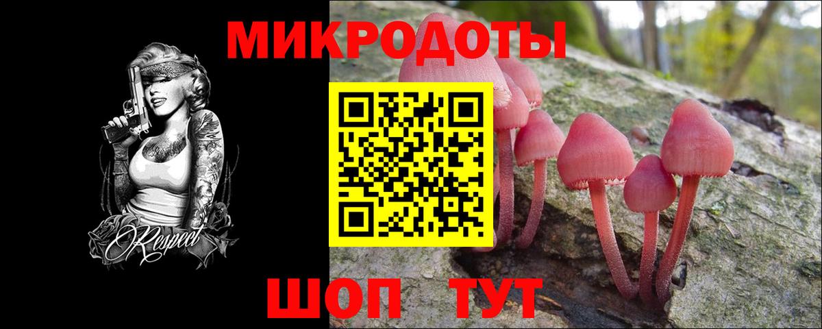 Псилоцибиновые грибы Magic Shrooms  Вход с VPN  Кизляр 
