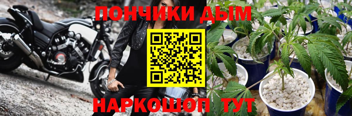 Каннабис Amnesia Кизляр